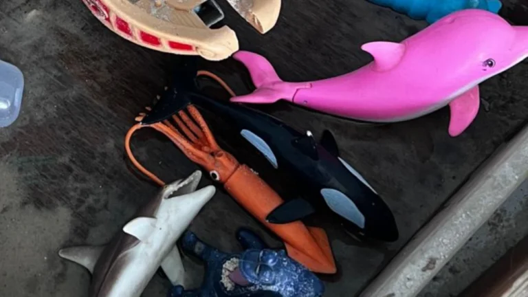 Çocuk Psikoterapisi Dikkat Eksikliği ve Hiperaktivite Bozukluğu ile Çalışmak Vaka Örneği ile